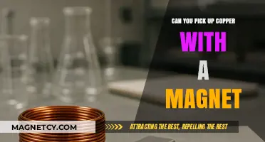Unveiling the Truth: Can Magnets Attract Copper?