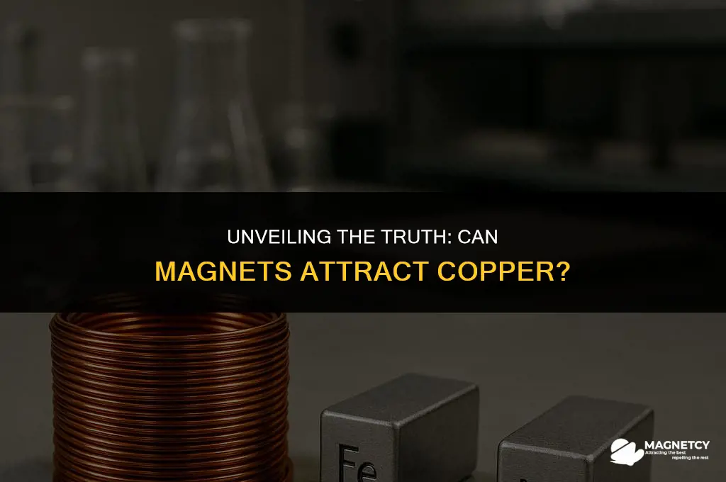 can you pick up copper with a magnet