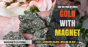 Fool's Gold: The Magnetic Myth Busted