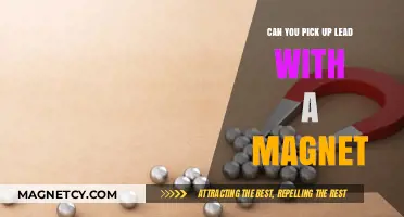 Unveiling the Truth: Can Magnets Really Attract Lead?