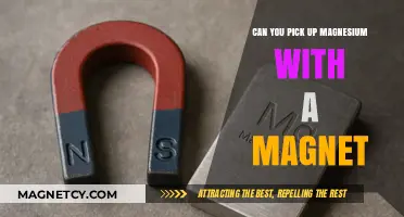 Unveiling the Truth: Magnets and Magnesium - A Surprising Connection