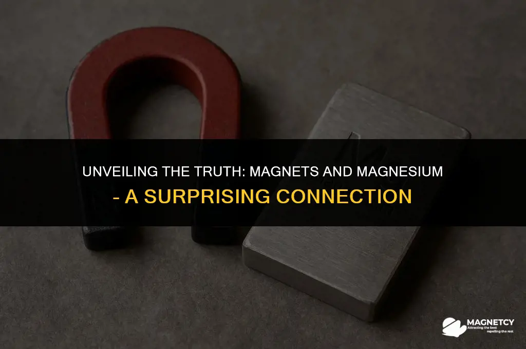 can you pick up magnesium with a magnet