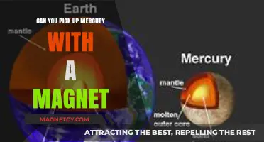 Unveiling the Truth: Mercury and Magnetism Explained