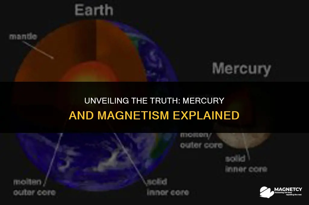 can you pick up mercury with a magnet