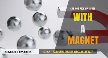 Unveiling the Truth: Can Magnets Attract Silver?