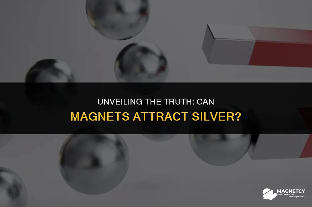 can you pick up silver with a magnet