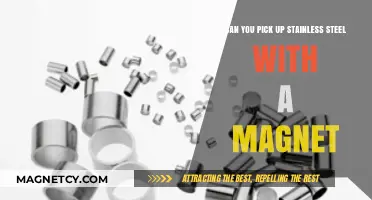 Magnetic Attraction: The Truth About Stainless Steel and Magnets