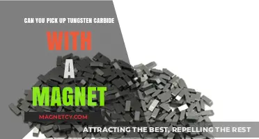 Exploring the Magnetic Properties of Tungsten Carbide: A Comprehensive Guide