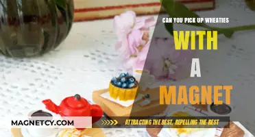 Magnetic Breakfast: The Surprising Truth About Wheaties and Magnets