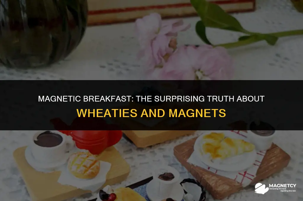 can you pick up wheaties with a magnet