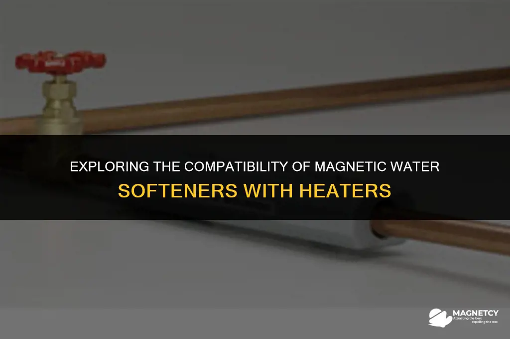 can you place magnetic water softener cold water into heater