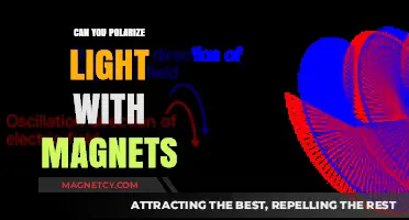 Exploring the Fascinating World of Light Polarization with Magnets