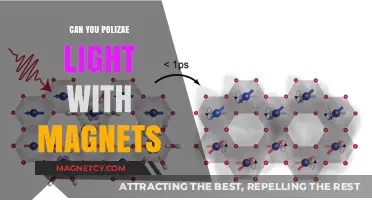 Exploring the Frontiers: Can We Harness Light with Magnets?
