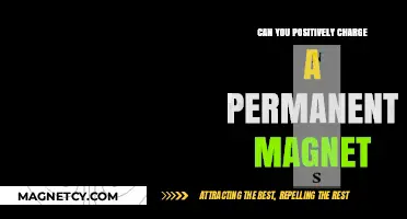 Exploring the Possibilities: Can You Really Charge a Permanent Magnet?