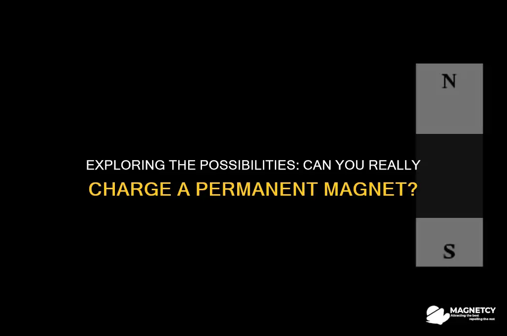 can you positively charge a permanent magnet