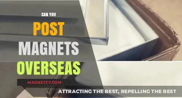 Exploring Global Magnet Shipping: What You Need to Know