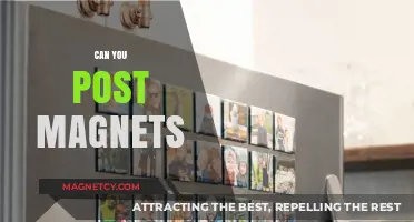 Exploring the Possibilities: Can You Post Magnets?