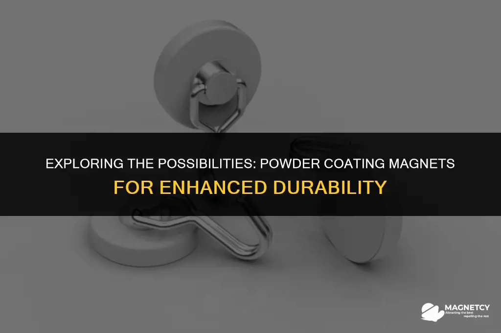 can you powder coat a magnet