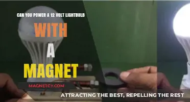 Illuminating Possibilities: Magnet-Powered Lightbulb Experiment