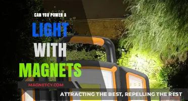 Unleashing the Power of Magnets: Can They Really Light Up Your Life?