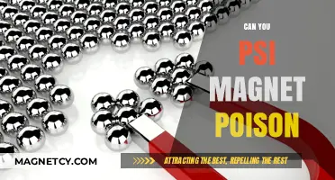 Exploring the Myth: Can PSI Magnetism Induce Poisoning?