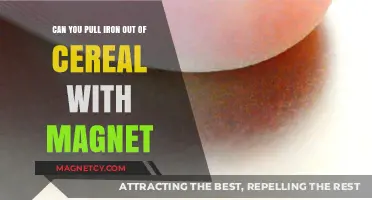 Magnetic Breakfast: Separating Iron from Your Favorite Cereals