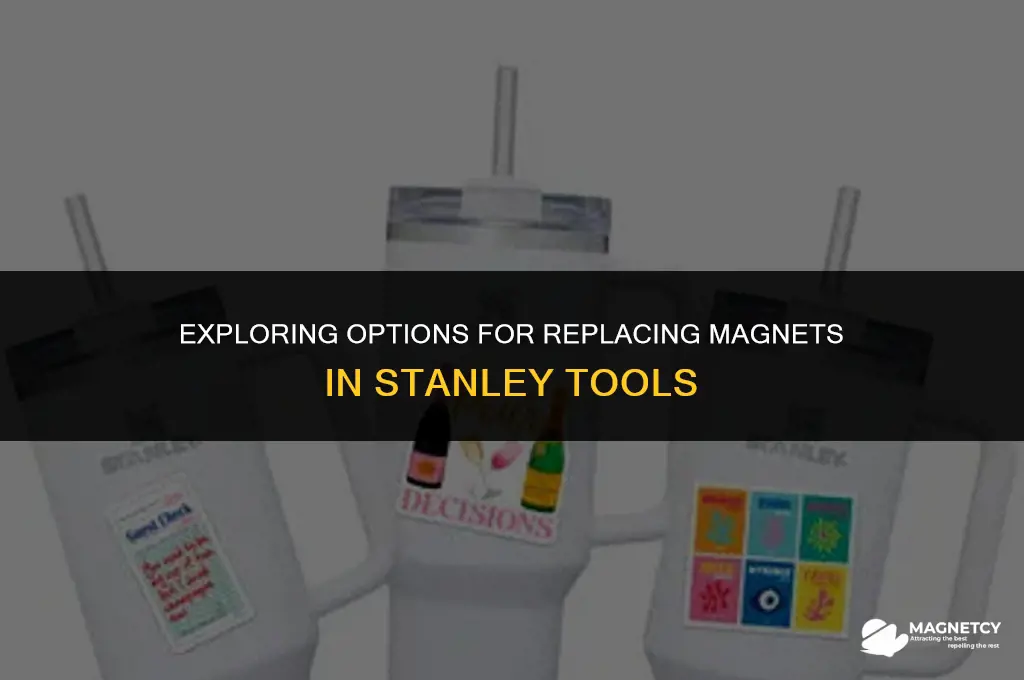can you purchase replacement magnets for stanley