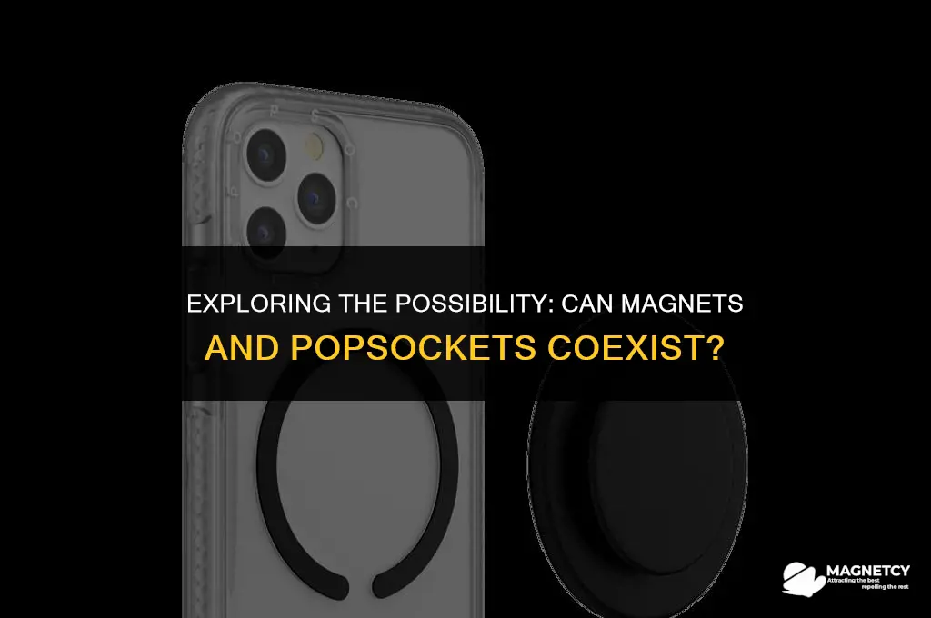 can you put a magnet in a popsocket