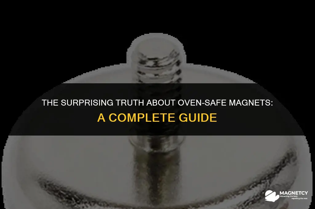 can you put a magnet in oven