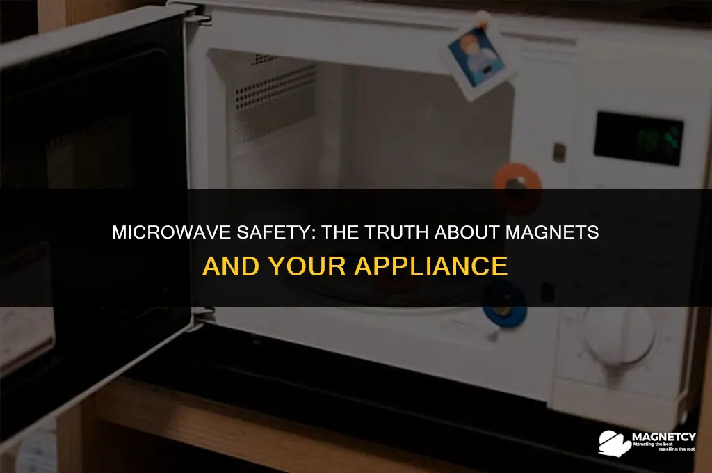 can you put a magnet in the microwave