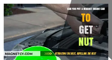 Exploring the Myth: Can Magnets Attract Nuts Inside Your Car?