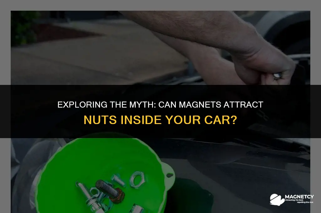 can you put a magnet inside car to get nut