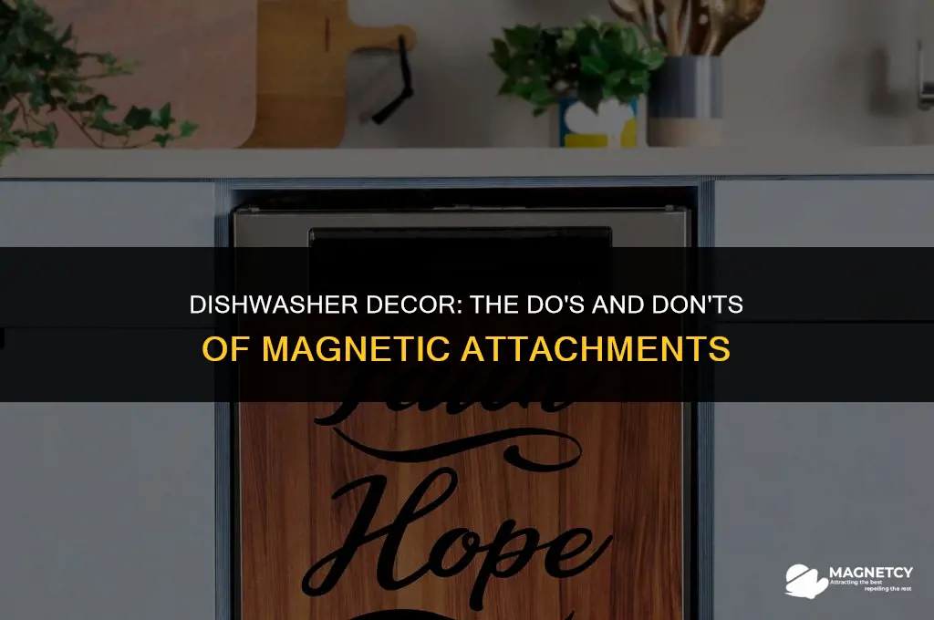 can you put a magnet on a dishwasher