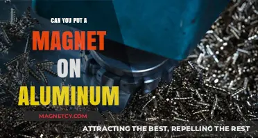 Exploring Magnetic Attractions: Does Aluminum Make the Cut?
