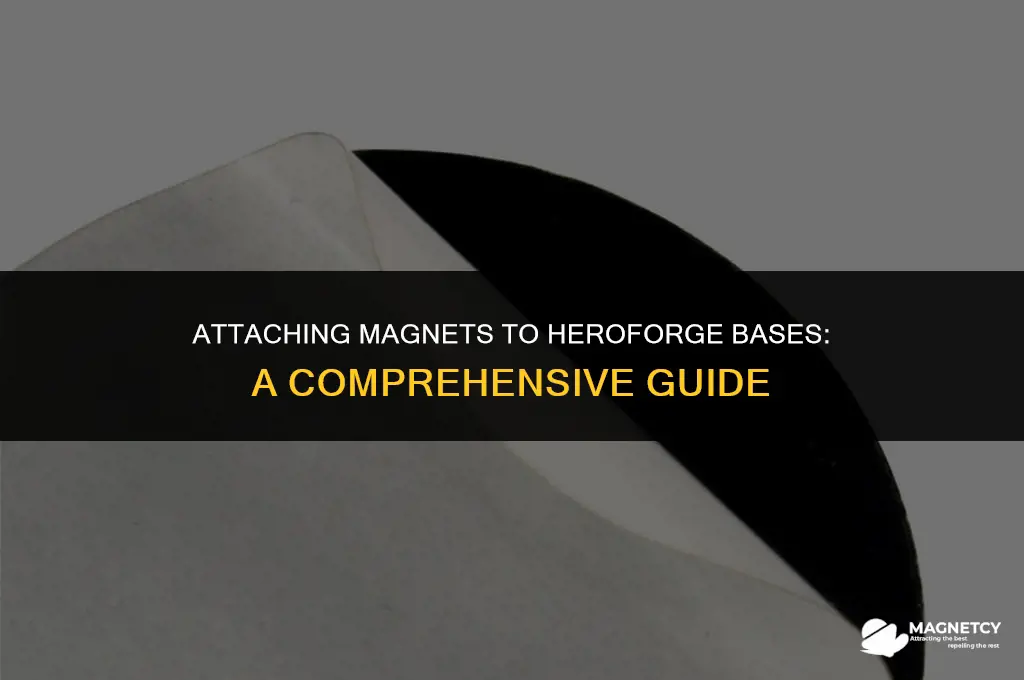 can you put a magnet on heroforge base