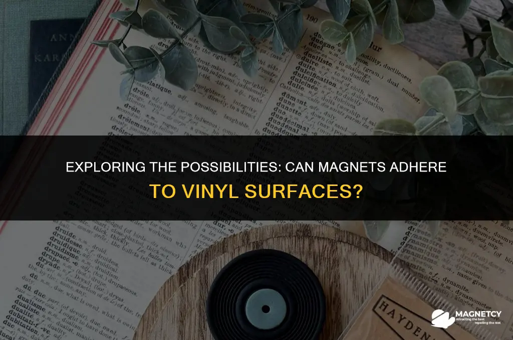 can you put a magnet on vinyl