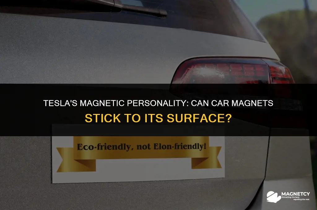 can you put car magnets ion tesla