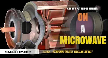 Microwave Magnet Myth: Separating Fact from Fiction