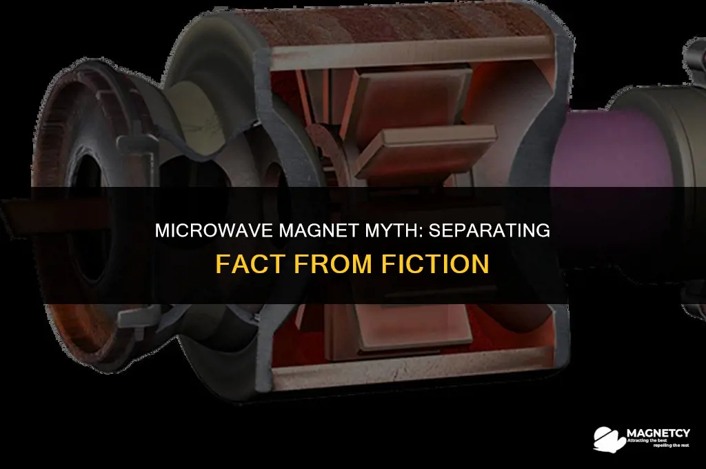 can you put fridge magnets on a microwave