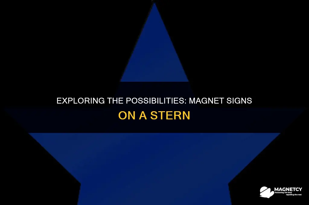 can you put magnet signs on a sturn