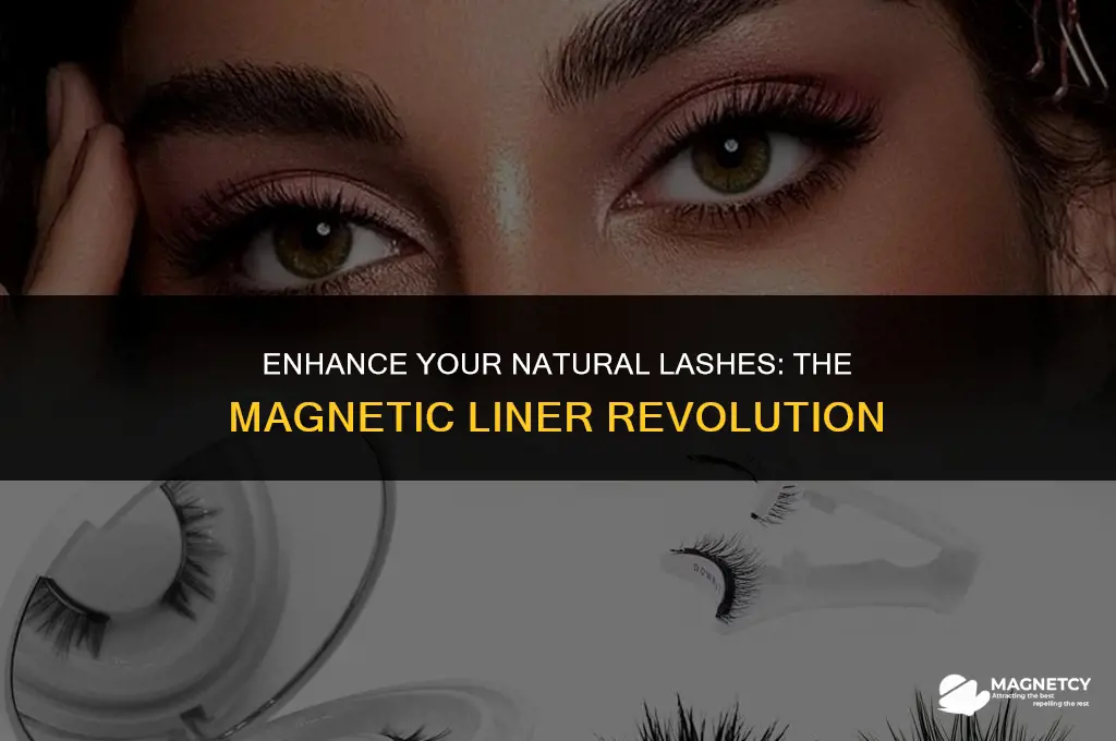 can you put magnetic liner on regular lashes