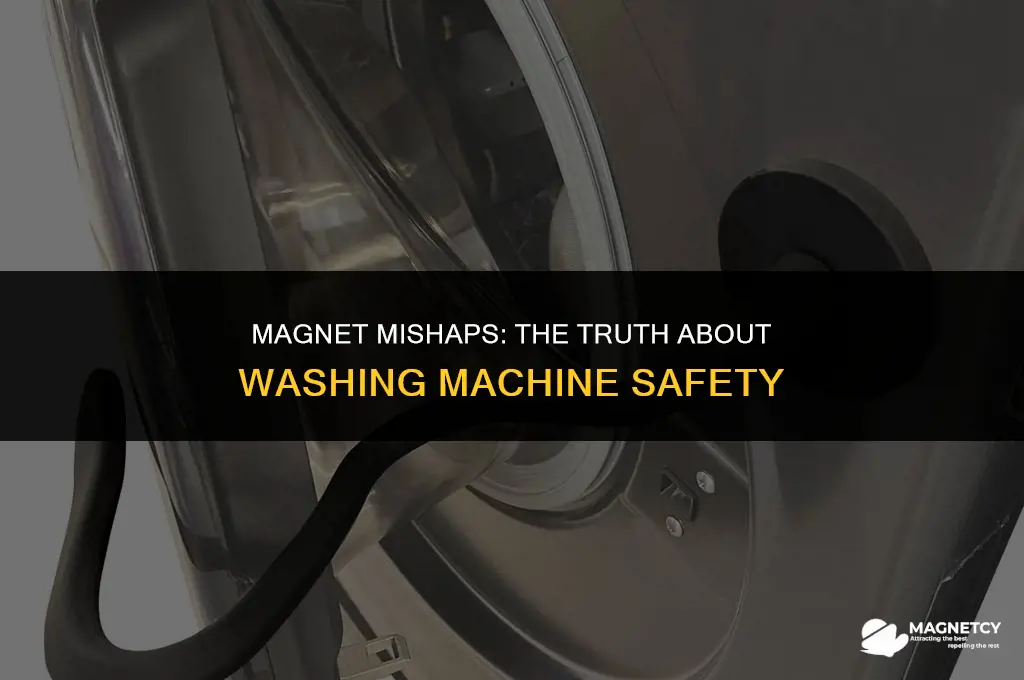 can you put magnets in a washing machine