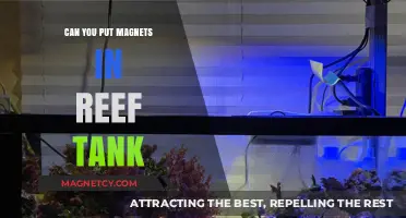 Exploring the Safety of Magnets in Reef Tanks: A Comprehensive Guide