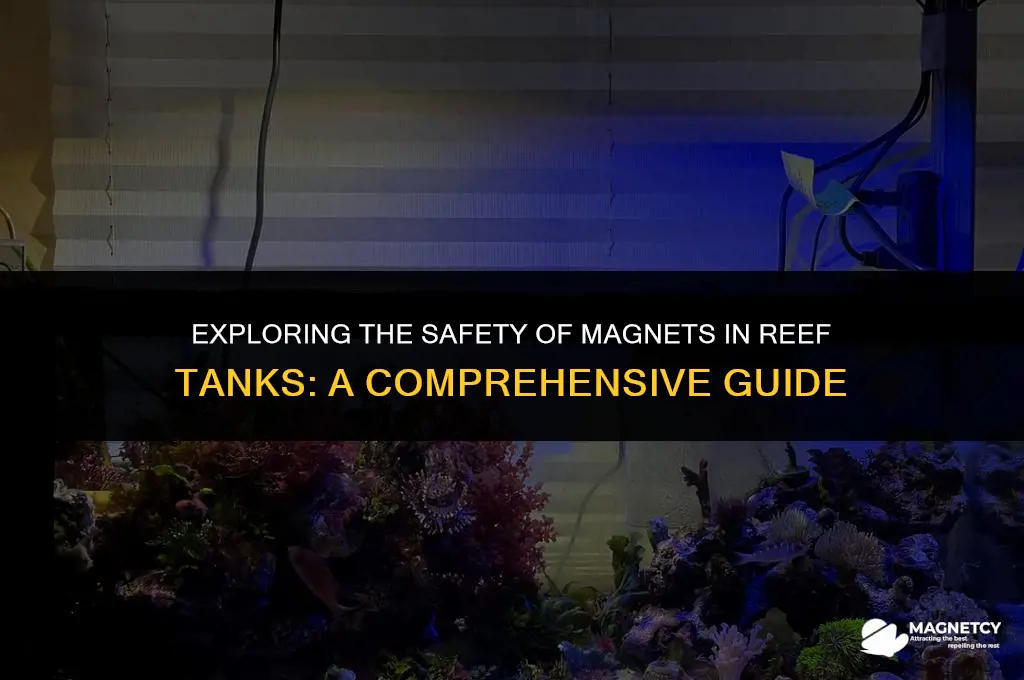 can you put magnets in reef tank