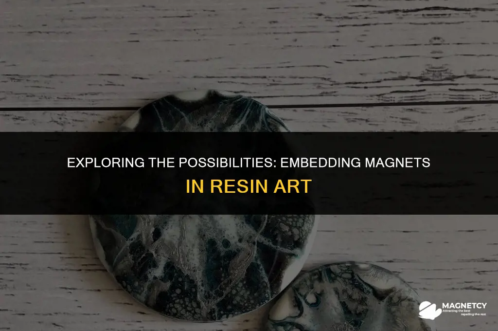 can you put magnets in resin