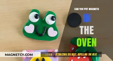 Can Magnets Go in the Oven? Safety Tips and Facts