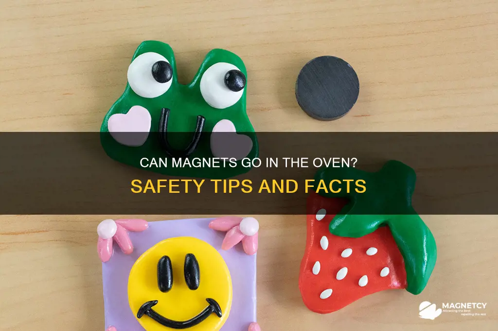 can you put magnets in the oven
