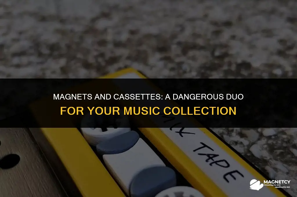 can you put magnets next to cassette tapes