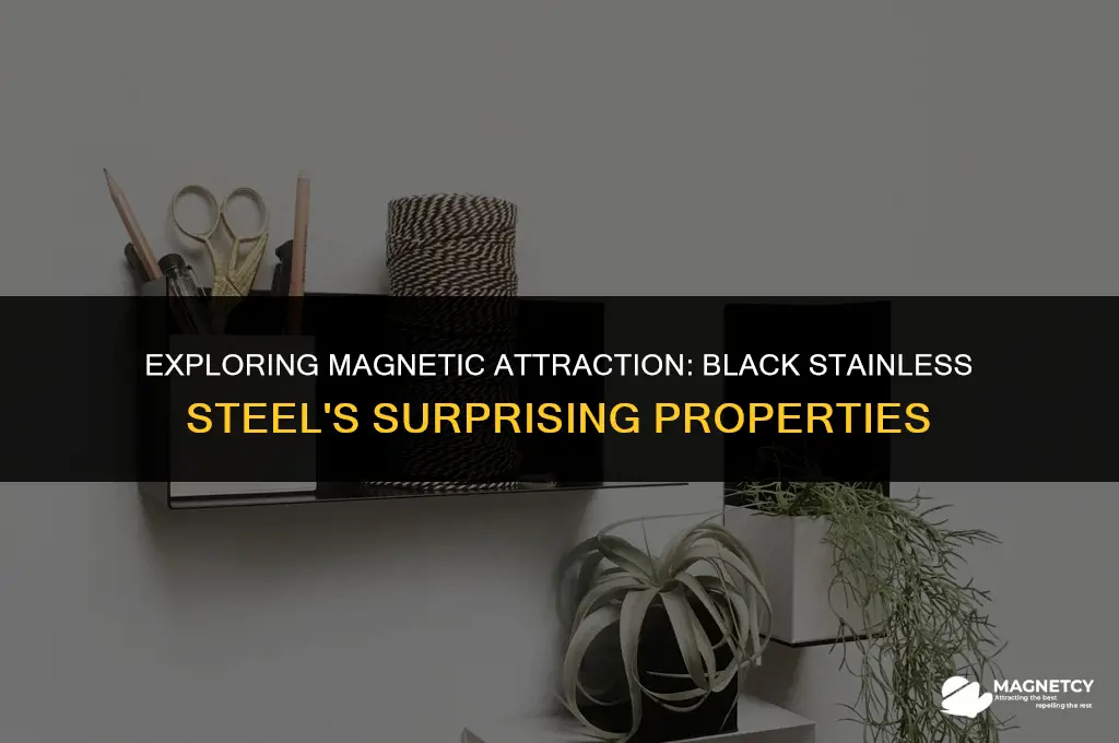 can you put magnets on black stainless steel