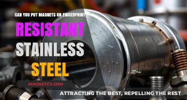 Exploring Magnetism: Can You Put Magnets on Fingerprint-Resistant Stainless Steel?